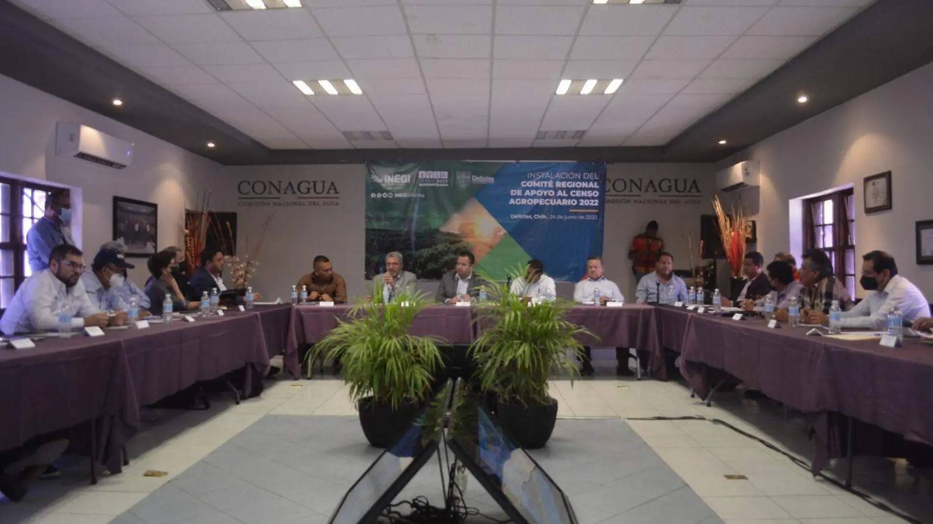 COMITÉ REGIONAL DE APOYO AL CENSO AGROPECUARIO